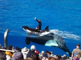 去港澳游就找深圳青年国际旅行社 港澳四天三晚游报价_商务服务_世界工厂网中国产品信息库