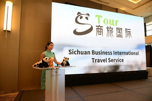 超强阵容带你看 熊猫走世界 美丽中国 德国之行