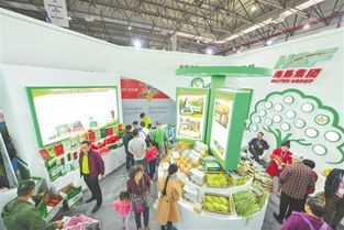 从后进生到领跑者 海垦国际旅行社勇立改革潮头