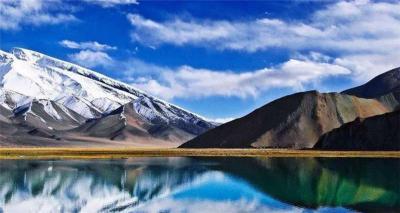 国际旅行社转让费用为何如此高昂？